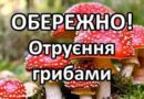 УВАГА! ОТРУЄННЯ ГРИБАМИ